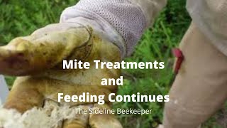 Beekeeping Mite Treatments and Feeding Continues [upl. by Proudman]