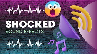 Shocked Sound Effect [upl. by Yenrab]