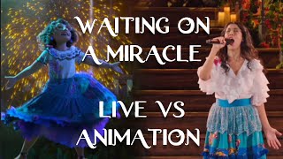 Encanto  Waiting On A Miracle  Live Vs Animation  Side By Side Comparison  Stephanie Beatriz [upl. by Anizor]