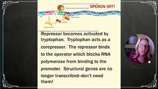 APBio Ch13 Pt1 Regulation of Gene Expression  Prokaryotes [upl. by Eitisahc]