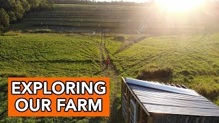 Small Vermont Farm Tour  Ducks Permaculture Orchard and Barn Cats [upl. by Refotsirhc]