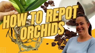 How to REPOT Your Orchid Plant [upl. by Aizan]