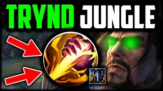 Tryndamere Jungle is CRAZY STRONG  How to Tryndamere Jungle amp CARRY for Beginners League of Legends [upl. by Magnolia]