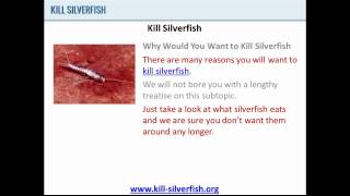 Kill Silverfish  Why You Should Kill Silverfish [upl. by Libna]