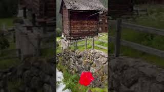 Grimentz Switzerland youtubeshorts foryou viral travel trending mountains river waterfall [upl. by Plerre]