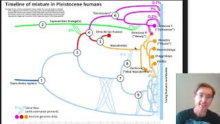 Les hybridations des humains au Pleistocène [upl. by Pinto]