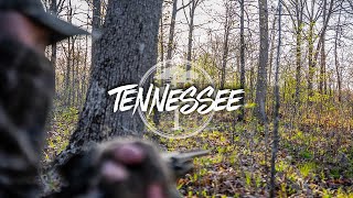 Turkey Hunting Early Season Tennessee Gobblers [upl. by Ardell]