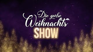 Trailer  Die Große Weihnachtsshow 2024 Stage School Hamburg  Musical amp Theater  First Stage [upl. by Mohn515]