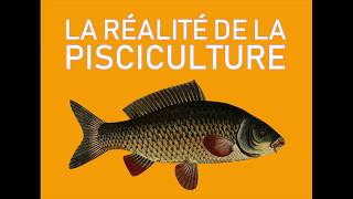 La réalité de la pisciculture [upl. by Dunning]