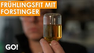 Das Auto fit für den Frühling machen mit Forstinger [upl. by Didier22]