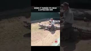 Shocking  16Foot Crocodile Attacks Zookeeper During Live Show [upl. by Cassondra]