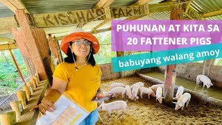 MAGKANO PUHUNAN AT KITA SA PAGAALAGA NG 20 FATTENER PIGS  Step by Step Guide  JUNEJULY 2022 [upl. by Casilde]