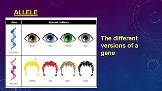 1 Genetics Terminology Part 1 [upl. by Punke]