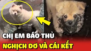 Hai chị em NGHỊCH NƯỚC DƠ bị bố phát hiện và cái kết 😂  Yêu Lu [upl. by Seedman]