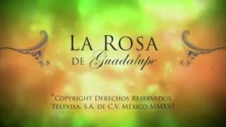 La Rosa de Guadalupe Un amor emprendedor parte 1 [upl. by Frissell279]