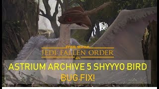 Star Wars Jedi Fallen Order  Astrium Archive 5 Shyyyo bird  BUG FIX [upl. by Lapham]