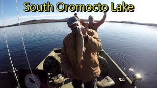 Brook Trout Fishing South Oromocto Lake New Brunswick fishing fish trout troutfishing [upl. by Ivatts]