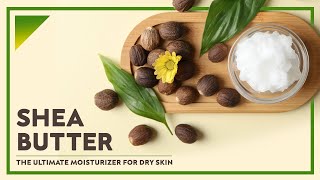 Shea Butter Benefits  Why Its a Miracle Beauty Product amp How Does It Work [upl. by Aldrich]