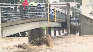 Unwetter St Pölten 15092024 Hochwasser Traisen auf Höhe Regierungsviertel [upl. by Hashimoto939]