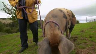 Max meets a retired couple living the Truffle dream life by the Sea [upl. by Karsten]