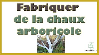 Comment fabriquer de la chaux arboricole [upl. by Acisse]