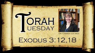 Torah Tuesday  Exodus 312 18 [upl. by Haggai]