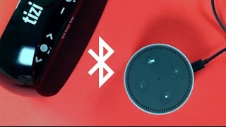 Amazon Echo Dot mit Bluetooth Lautsprecher nutzen [upl. by Hauger]