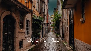 Quiet Street Ambience I  Istanbul Turkey  ASMR  4Ch Surround [upl. by Esilenna798]