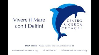 Centro Ricerca Cetacei amp Dronesense [upl. by Nellda]