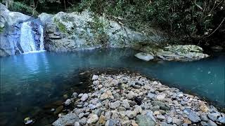 Mudgeeraba Creek Hop finding a Hidden gem [upl. by Ram]