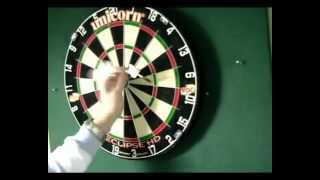 Darts Caddy Portable Dartboard Stand Review [upl. by Gustav]