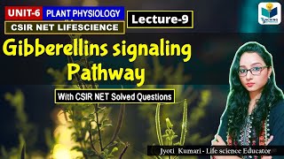 GIBBERELLIN SIGNALING PATHWAY  PHYTOHORMONEPART9 CSIR NETPLANT BIOLOGY [upl. by Nerte]