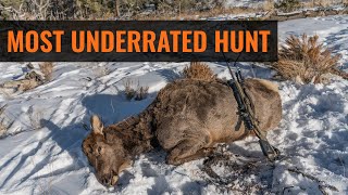 The Most Underrated Hunt  Antlerless Hunting Opportunities [upl. by Huxley]