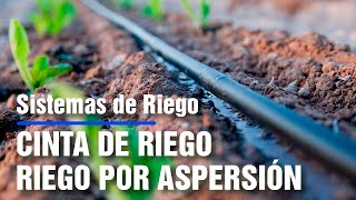 CINTA DE RIEGO  RIEGO POR ASPERSIÓN  Irrigación  EQUIPOS DE RIEGO  Sistemas de Riego  Mangueras [upl. by Doubler]