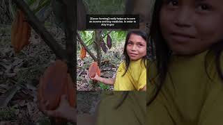 Asháninka Cacao Farmers in the Amazon Rainforest 🍫 [upl. by Harod802]