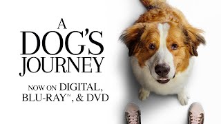 A DOGS JOURNEY Trailer Drama 2019  Dennis Quaid Sequel Movie [upl. by Tempest]