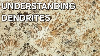 UNDERSTANDING DENDRITES MINERALOGY 🌴 [upl. by Melc]