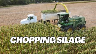 Chopping Silage 2024  WE GOT A NEW CHOPPER [upl. by Ahsinad]