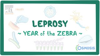 Leprosy Year of the Zebra [upl. by Ahsotan313]