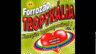 Forrozão Tropykália  Você Fugiu de Mim [upl. by Anoved408]