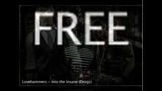 Lovehammers  Into the Insane  Lyric Video  Official [upl. by Ellerehc]