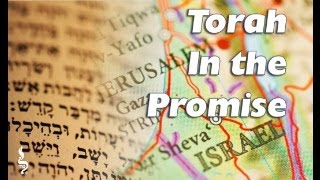 Torah in the Promise  Ki Tavo  Aliyah 4 [upl. by Letizia]