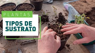 Tipos de sustratos para plantas de interior y exterior  Plantas en VERDECORA [upl. by Arela]