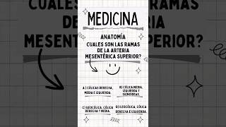 Cuales son las ramas de la mesentérica superior educación educacion anatomiafacil [upl. by Ellirehs]