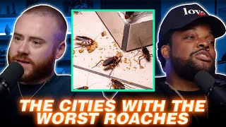 The Cities With The Worst Roaches  NEW RORY amp MAL [upl. by Ly]