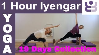 One Hour Iyengar Yoga Class  19 Days of Yoga Collection [upl. by Carvey537]