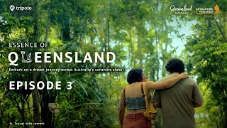 Essence of Queensland Rainforests Wildlife amp More Web Series Episode 3  Ft Travel with Searats [upl. by Loseff]