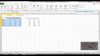 Consolidate Data Create Subtotals In A List And Perform Multiple Subtotal Function [upl. by Mallory]