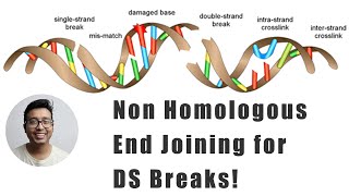 Double stranded break repair  Non homologous end joining explained [upl. by Eidahs]