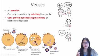 Chapter 13d  Viruses  Cambridge ALevel 9700 Biology [upl. by Gregg]